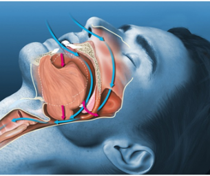 Đi bộ 30 phút mỗi ngày có giảm cân không?